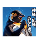 全肯定ペンギン【褒め言葉・便利・面白い】（個別スタンプ：4）