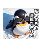 全肯定ペンギン【褒め言葉・便利・面白い】（個別スタンプ：13）