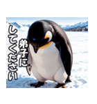 全肯定ペンギン【褒め言葉・便利・面白い】（個別スタンプ：17）