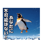 全肯定ペンギン【褒め言葉・便利・面白い】（個別スタンプ：26）