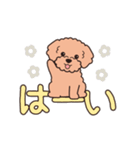 『トイプードル』毎日使えるデカ文字．2（個別スタンプ：2）