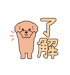 『トイプードル』毎日使えるデカ文字．2（個別スタンプ：3）