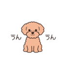 『トイプードル』毎日使えるデカ文字．2（個別スタンプ：4）