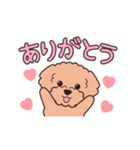 『トイプードル』毎日使えるデカ文字．2（個別スタンプ：5）