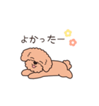 『トイプードル』毎日使えるデカ文字．2（個別スタンプ：6）