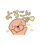 『トイプードル』毎日使えるデカ文字．2（個別スタンプ：10）