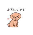 『トイプードル』毎日使えるデカ文字．2（個別スタンプ：11）
