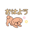 『トイプードル』毎日使えるデカ文字．2（個別スタンプ：13）