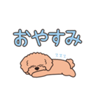 『トイプードル』毎日使えるデカ文字．2（個別スタンプ：14）
