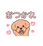 『トイプードル』毎日使えるデカ文字．2（個別スタンプ：15）