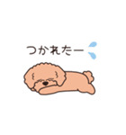 『トイプードル』毎日使えるデカ文字．2（個別スタンプ：16）