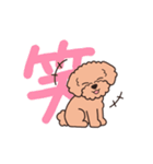 『トイプードル』毎日使えるデカ文字．2（個別スタンプ：18）