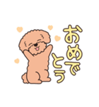『トイプードル』毎日使えるデカ文字．2（個別スタンプ：19）