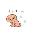 『トイプードル』毎日使えるデカ文字．2（個別スタンプ：23）