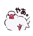 文鳥です.（個別スタンプ：1）