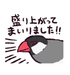 文鳥です.（個別スタンプ：6）