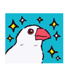 文鳥です.（個別スタンプ：8）
