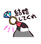 文鳥です.（個別スタンプ：10）
