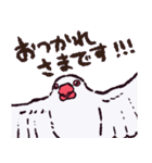 文鳥です.（個別スタンプ：13）