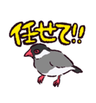 文鳥です.（個別スタンプ：16）