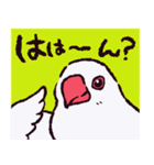 文鳥です.（個別スタンプ：19）