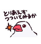 文鳥です.（個別スタンプ：22）