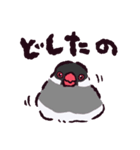 文鳥です.（個別スタンプ：25）