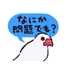 文鳥です.（個別スタンプ：27）