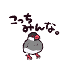 文鳥です.（個別スタンプ：31）