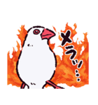 文鳥です.（個別スタンプ：32）