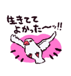 文鳥です.（個別スタンプ：33）