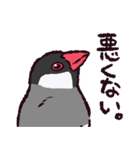 文鳥です.（個別スタンプ：34）
