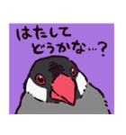 文鳥です.（個別スタンプ：35）