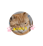 片眼のジャック君（個別スタンプ：2）