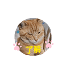 片眼のジャック君（個別スタンプ：3）