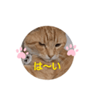 片眼のジャック君（個別スタンプ：4）