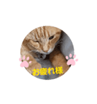 片眼のジャック君（個別スタンプ：5）