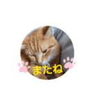 片眼のジャック君（個別スタンプ：6）