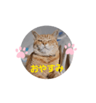 片眼のジャック君（個別スタンプ：8）