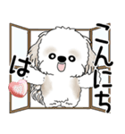 シーズー犬 2025 「飛び出す」よく使う言葉（個別スタンプ：2）