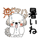シーズー犬 2025 「飛び出す」よく使う言葉（個別スタンプ：3）