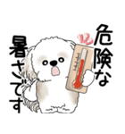シーズー犬 2025 「飛び出す」よく使う言葉（個別スタンプ：4）