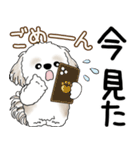 シーズー犬 2025 「飛び出す」よく使う言葉（個別スタンプ：5）
