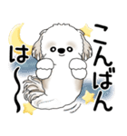 シーズー犬 2025 「飛び出す」よく使う言葉（個別スタンプ：6）