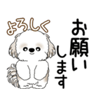 シーズー犬 2025 「飛び出す」よく使う言葉（個別スタンプ：8）
