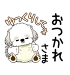 シーズー犬 2025 「飛び出す」よく使う言葉（個別スタンプ：9）