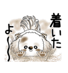シーズー犬 2025 「飛び出す」よく使う言葉（個別スタンプ：10）