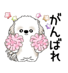 シーズー犬 2025 「飛び出す」よく使う言葉（個別スタンプ：11）