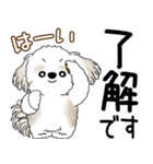 シーズー犬 2025 「飛び出す」よく使う言葉（個別スタンプ：12）