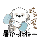 シーズー犬 2025 「飛び出す」よく使う言葉（個別スタンプ：13）